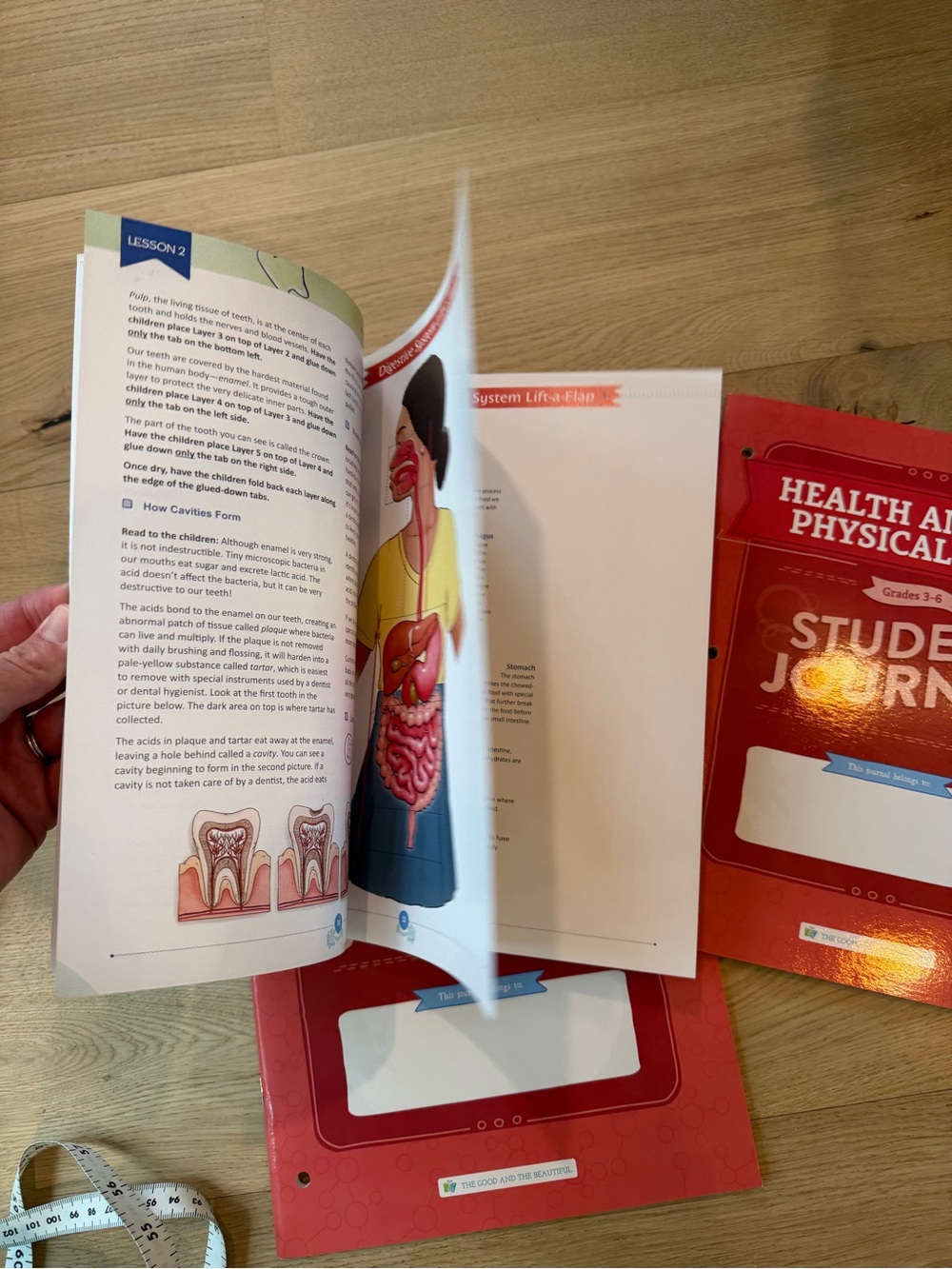 Homeschool Science Curriculum – Health & Physical Body (Grades 3–6) - Picture 3 of 5